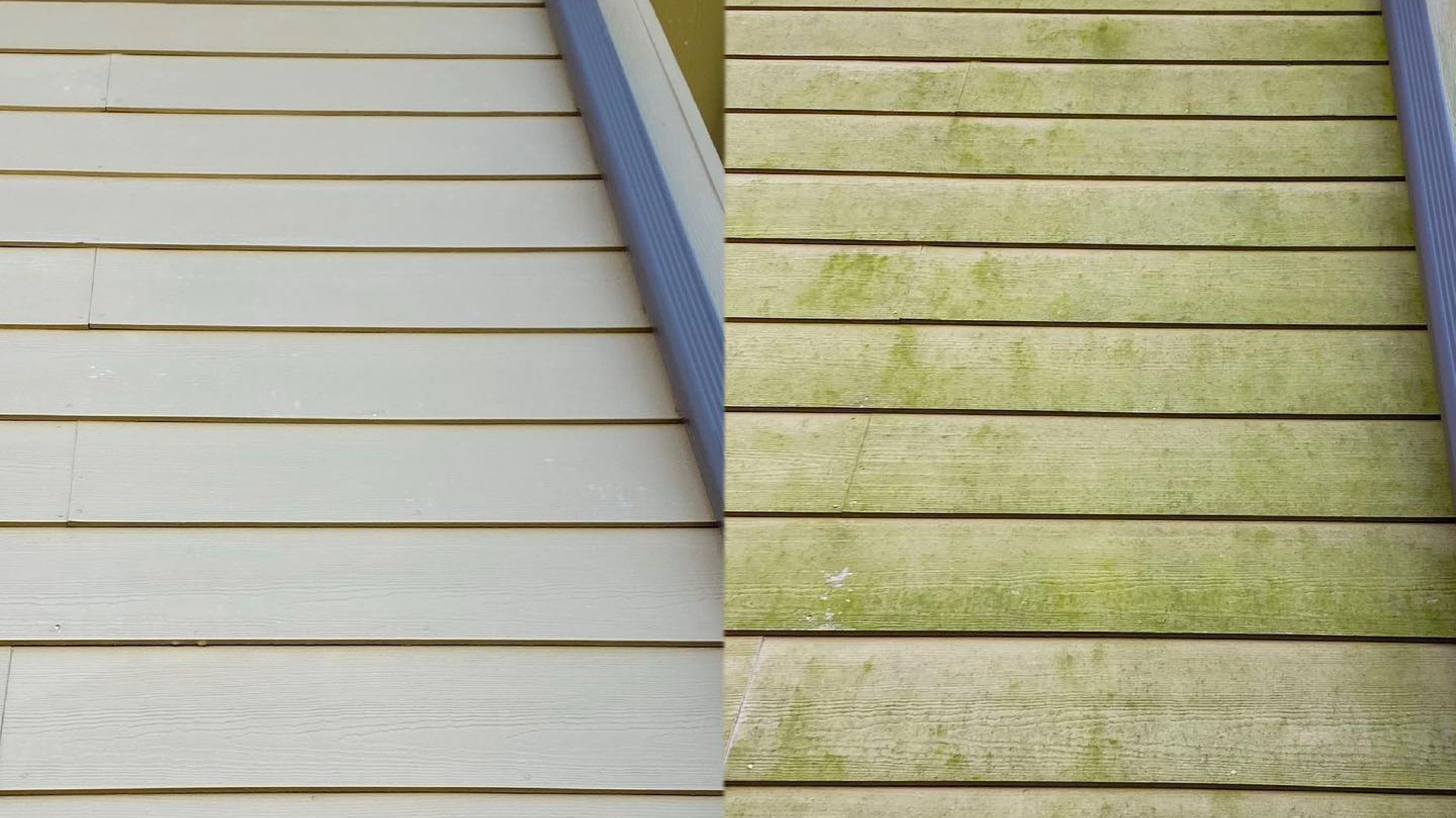 siding cleaning before and after