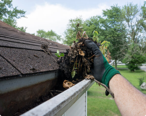 gutter cleaning service