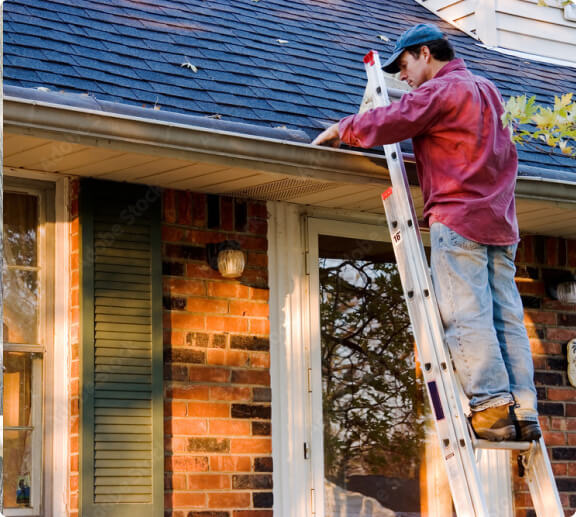 gutter cleaning service