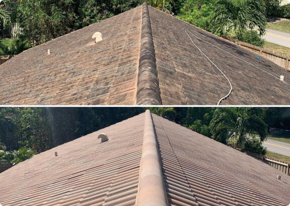 roof cleaning before after