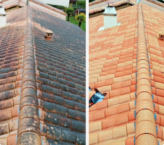 roof cleaning service